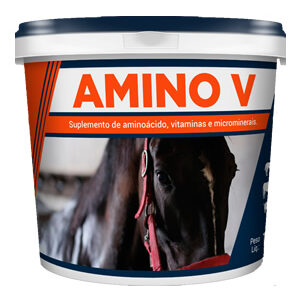 Amino V