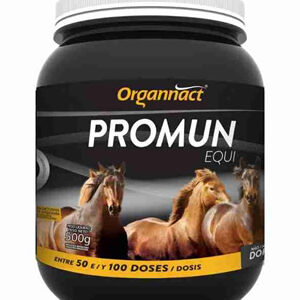 Promun Equi